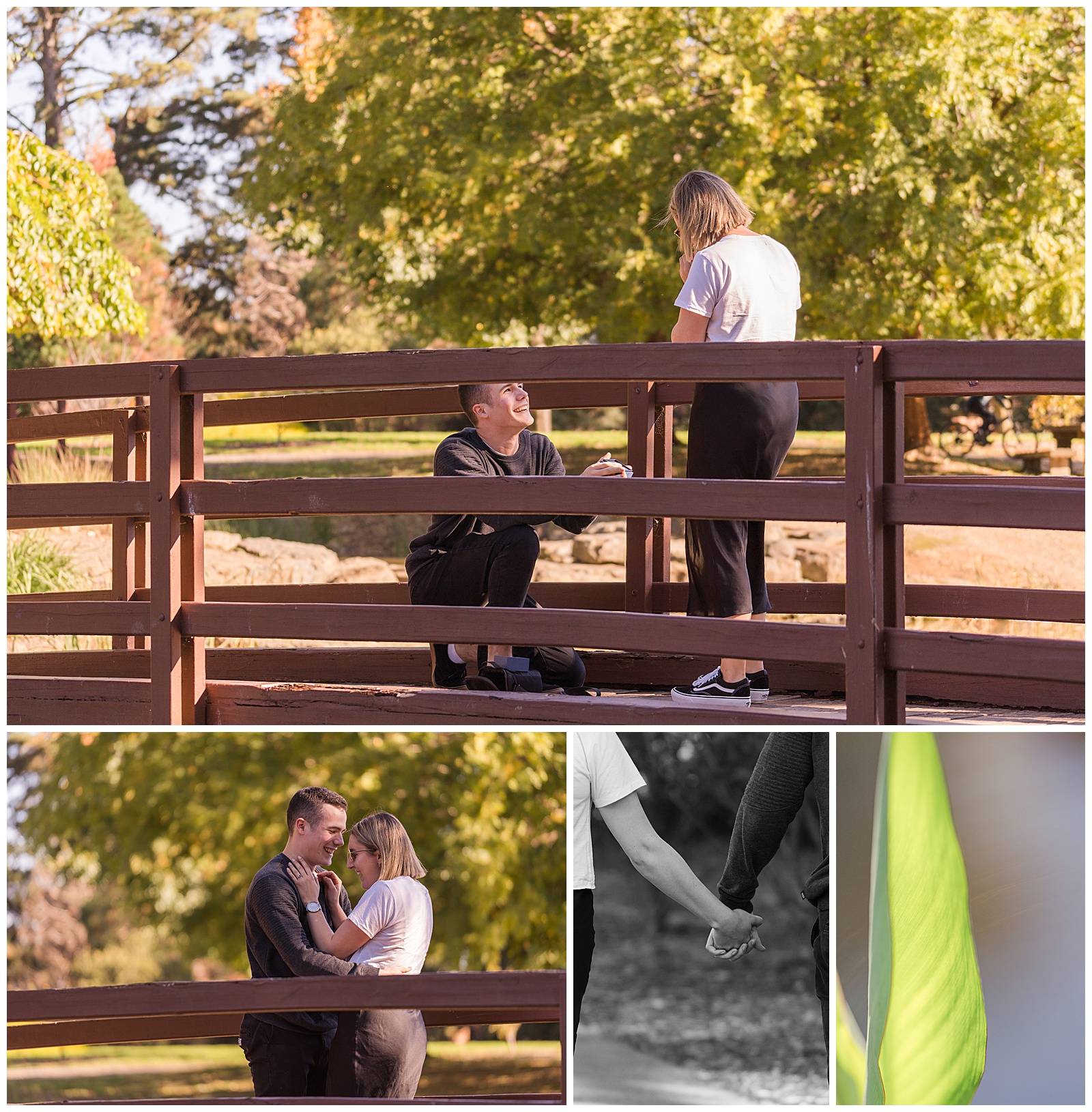 Engagement,Proposal,