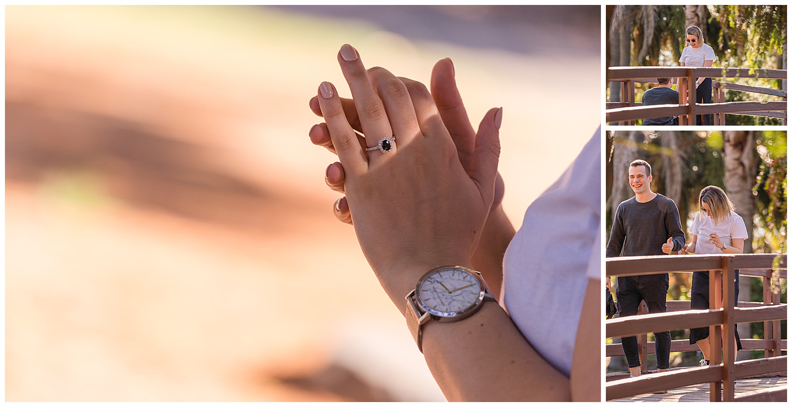Engagement,Proposal,