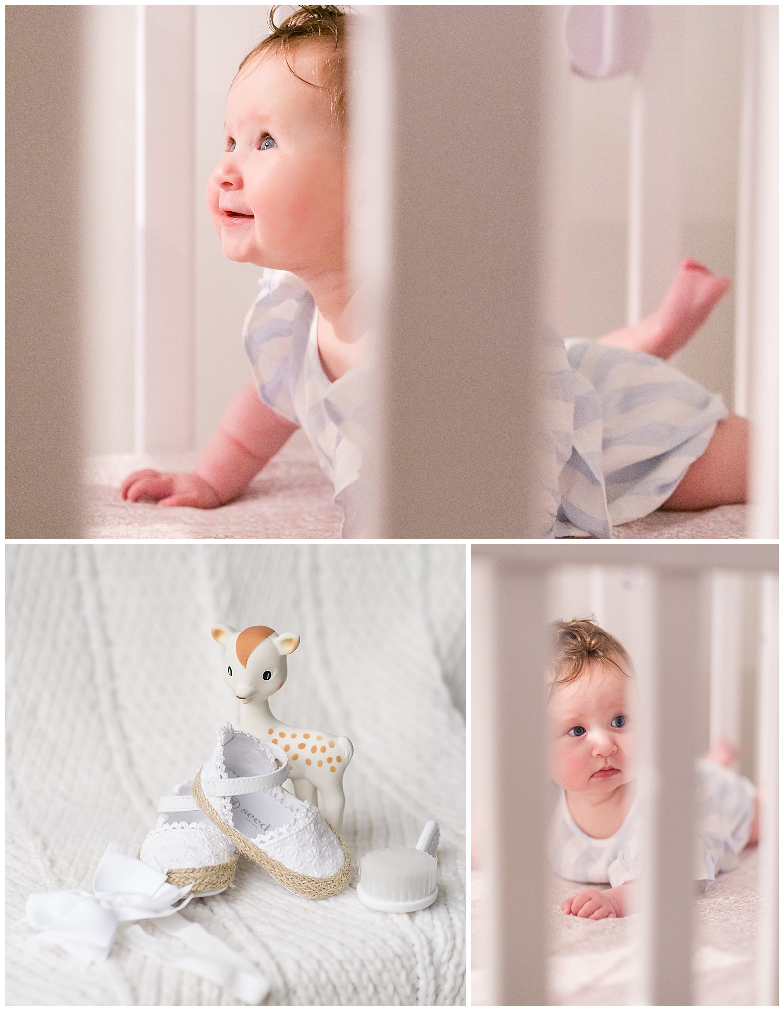 Lauren-and-David-Family-Photos-1364.jpg